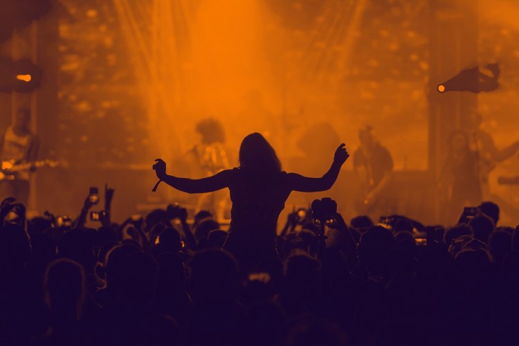 What Kind of Music Festival-goer Are You?