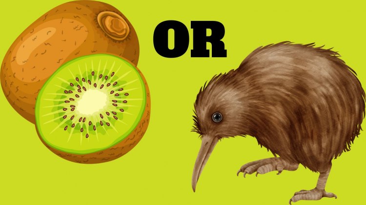  If You Were a Kiwi, Would You Be the Fruit or the Bird?